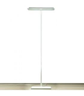 LINEALIGHT DUBLIGHT LED 