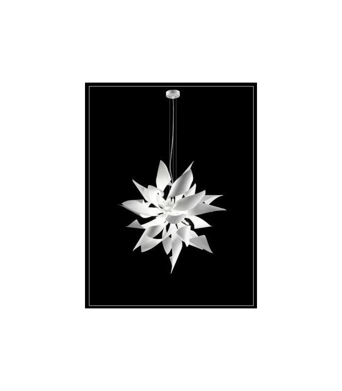 SELENE GINGER SOPSENSIONE 