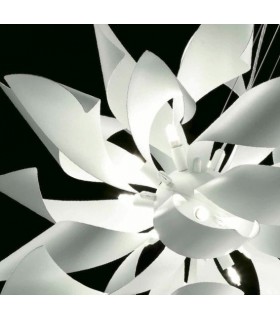 SELENE GINGER SOPSENSIONE  SELENE GINGER SOPSENSIONE