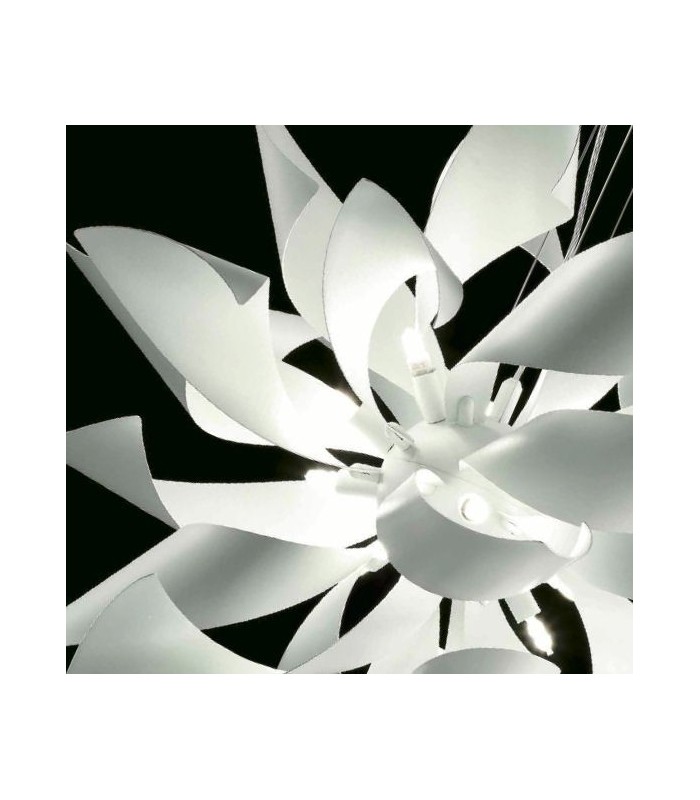 SELENE GINGER SOPSENSIONE 