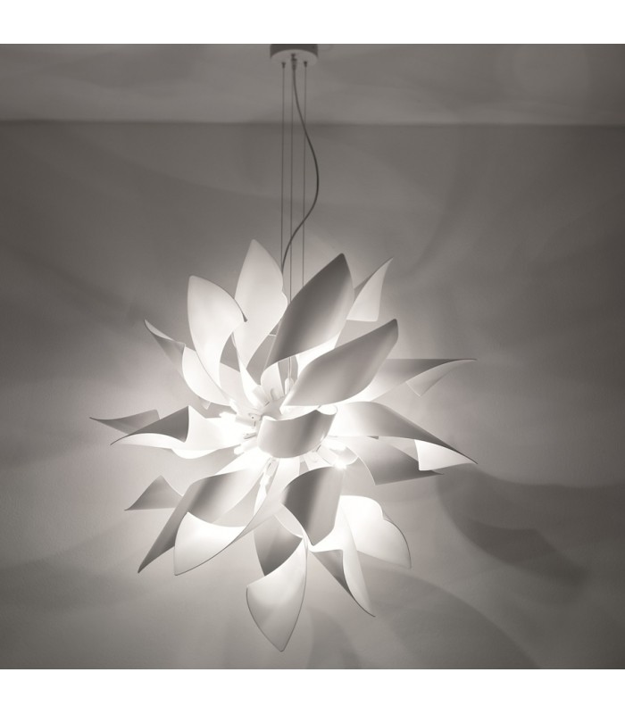 SELENE GINGER SOPSENSIONE 