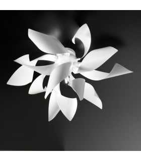 SELENE GINGER SOFFITTO  SELENE GINGER SOFFITTO