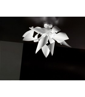 SELENE GINGER SOFFITTO  SELENE GINGER SOFFITTO