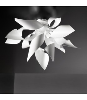 SELENE GINGER SOFFITTO  SELENE GINGER SOFFITTO