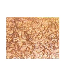 SELENE ART & LIGHT  SELENE ART & LIGHT