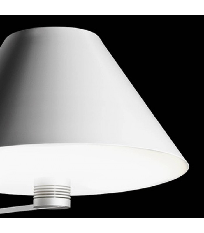 ANTONANGELI CINEMA TERRA