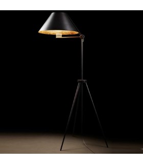 ANTONANGELI CINEMA F1 ANTONANGELI CINEMA F1