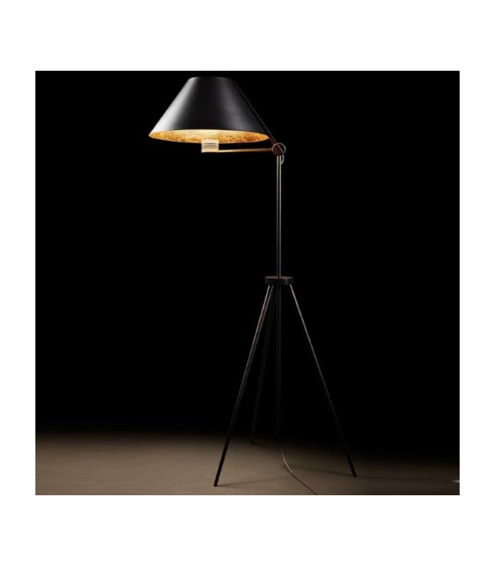 ANTONANGELI CINEMA F1