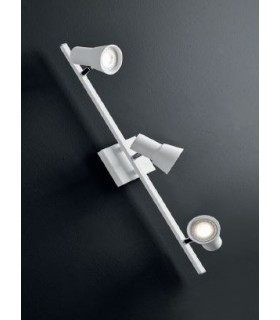 ILLUMINANDO TORCIA  ILLUMINANDO TORCIA