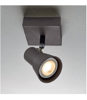 ILLUMINANDO TORCIA  ILLUMINANDO TORCIA