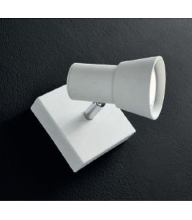 ILLUMINANDO TORCIA  ILLUMINANDO TORCIA