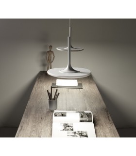 GROK NET CIRCOLARE  GROK NET CIRCOLARE