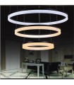 LED SUSPENSION LAMP LEDS C4 CIRC 3