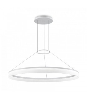 GROK CIRC 1  GROK CIRC 1