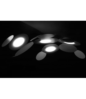 CATTANEO MICKEY  CATTANEO MICKEY