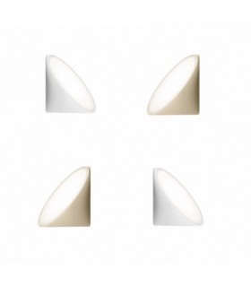 AXO LIGHT ORCHID AXO LIGHT ORCHID