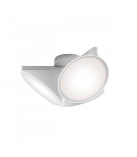 AXO LIGHT ORCHID  AXO LIGHT ORCHID