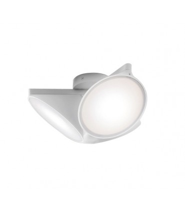 AXO LIGHT ORCHID 