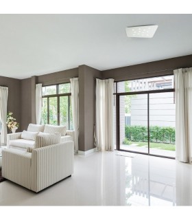 CATTANEO FUORISQUADRA 