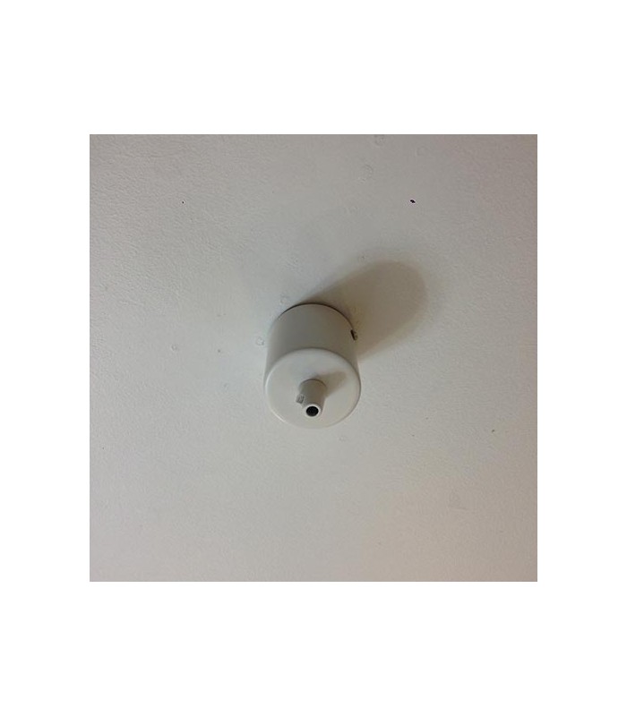 KIT DECENTRALIZED LAMP AND MULTIPLE ROSETTE