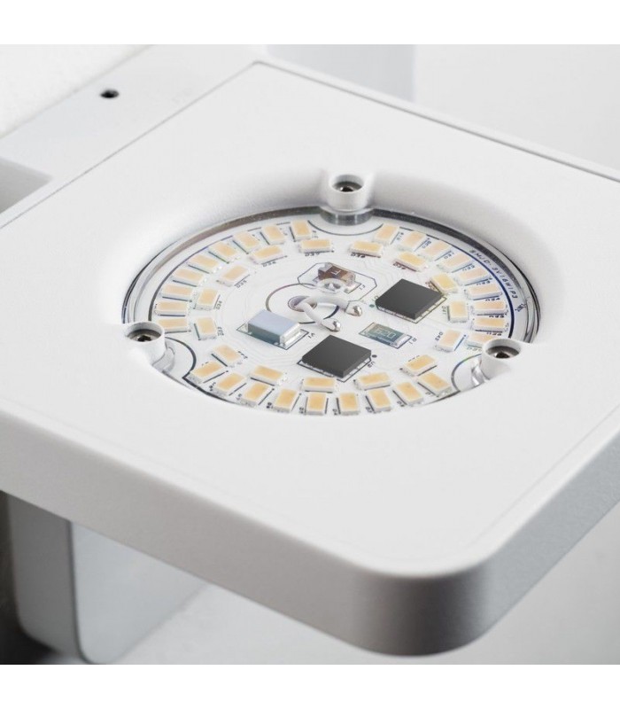 LINEA LIGHT MA&DE QUAD P7