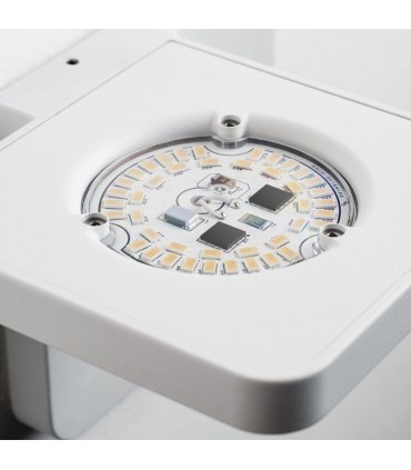 LINEA LIGHT MA&DE QUAD P7
