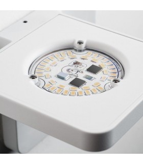 LINEA LIGHT MA&DE QUAD P12