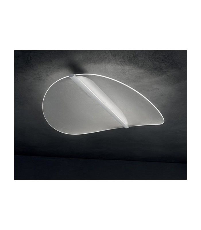 LINEA LIGHT MA&DE DIPHY 