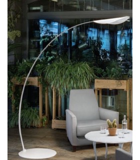 LINEA LIGHT MA&DE DIPHY FL