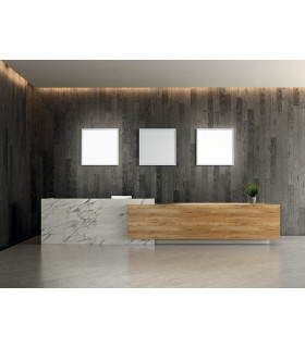 LAMPADA DA PARETE O LAMPADA DA SOFFITO MODERNA A LED LINEA LIGHT TARA MAXI  LAMPADA DA PARETE O LAMPADA DA SOFFITO MODERNA A LED LINEA LIGHT TARA MAXI