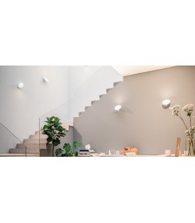 AXO LIGHT ORCHID AXO LIGHT ORCHID