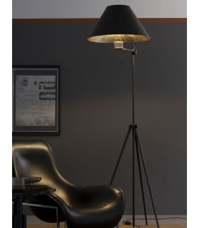 ANTONANGELI CINEMA F1 ANTONANGELI CINEMA F1