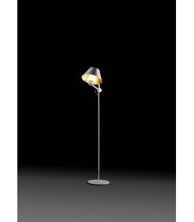 ANTONANGELI CINEMA TERRA ANTONANGELI CINEMA TERRA