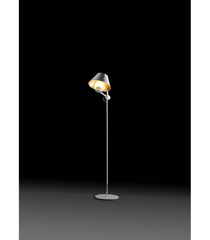 ANTONANGELI CINEMA TERRA