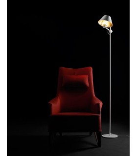 ANTONANGELI CINEMA TERRA ANTONANGELI CINEMA TERRA