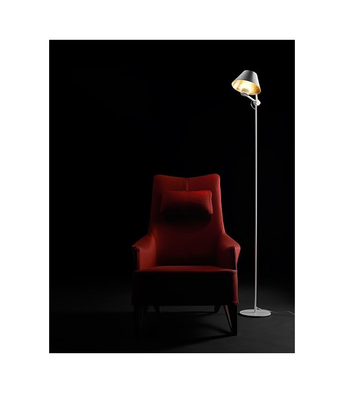 ANTONANGELI CINEMA TERRA