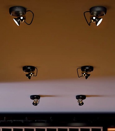 CEILING LAMP LINEA LIGHT DUCK S